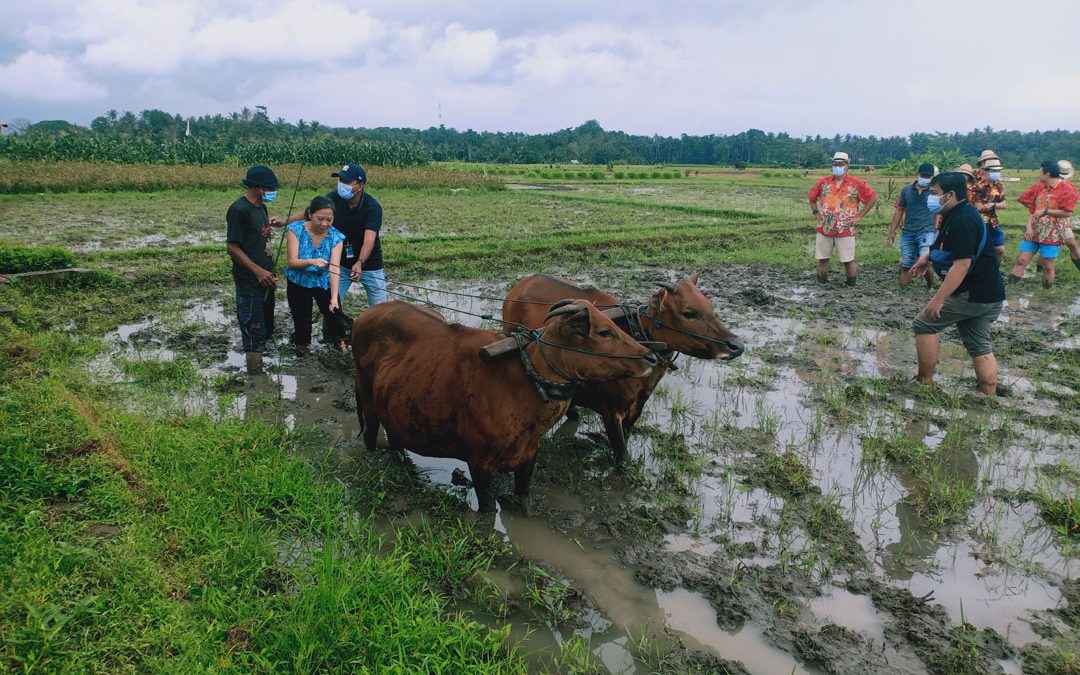 Lokasi Adventure yang Menantang dan Terbaik di Ubud